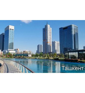 Оазис Средневекового Востока